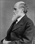 photo of Charles Darwin in late middle age